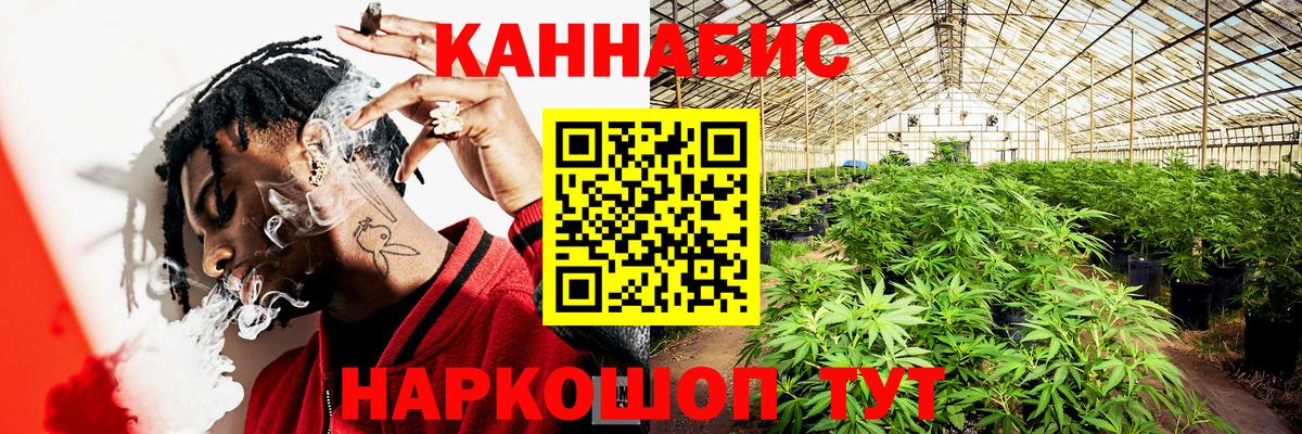 Бошки Шишки ГИДРОПОН  Шишки марихуана индика  Алексеевка  Вход с VPN  Бошки Шишки OG Kush  Каннабис VHQ 